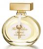 Her Golden Secret, Antonio Banderas