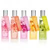 Scents of the World