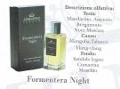Formentera Night