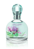 Imagination, Oriflame