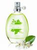 Lime Verbena,​ Avon