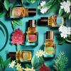 Elixirs of Nature