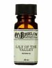 Lily Of The Valley, C.O.Bigelow