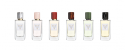 The Secret of Scents