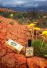 Desert Thunderstorm