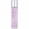 Spirit Of Violet Kiss, Spirit