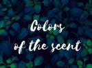 Colors Of The Scent Collection Y25