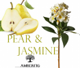 Pear & Jasmine, Amberfig