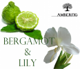 Bergamot & Lily, Amberfig