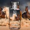 Arabian Breed, Dua Fragrances