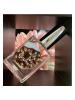 Praline Au Caramel, Kyse Perfumes