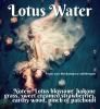 Lotus Water, Damask Haus