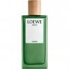 Agua Miami, Loewe