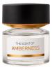 Amberness, BMW Fragrances