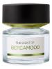 Bergamood, BMW Fragrances