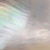 Фото Tsukishizuku, Mother of pearl