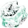 Фото Lady Emblem L'Eau