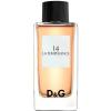 Фото D&G Anthology La Tempérance 14