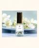 En Fleur, DSH Perfumes