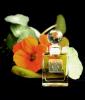 Eau de Coquette The Perfumed Court Natural, DSH Perfumes