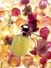 Прикрепленное изображение: Roseberry, Les Parfums de Rosine.jpg