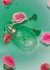 Прикрепленное изображение: Diabolo Rose, Les Parfums de Rosine.jpg