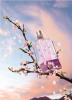 Прикрепленное изображение: Fleurs de Brignoles Plum Blossom, L`Occitane en Provence.jpg