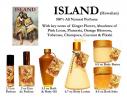 Прикрепленное изображение: Island Girl Island Hawaiian, Opus Oils.jpg