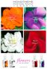 Прикрепленное изображение: Rose Petals, Monotheme Fine Fragrances Venezia.jpg
