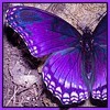 ЛеНочка5 фотография
