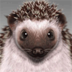 theworldisfine79 фотография