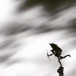 Olli_Loni фотография