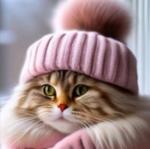 Boobon фотография