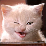 Павлова Екатерина фотография